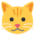 Cat face 🐱